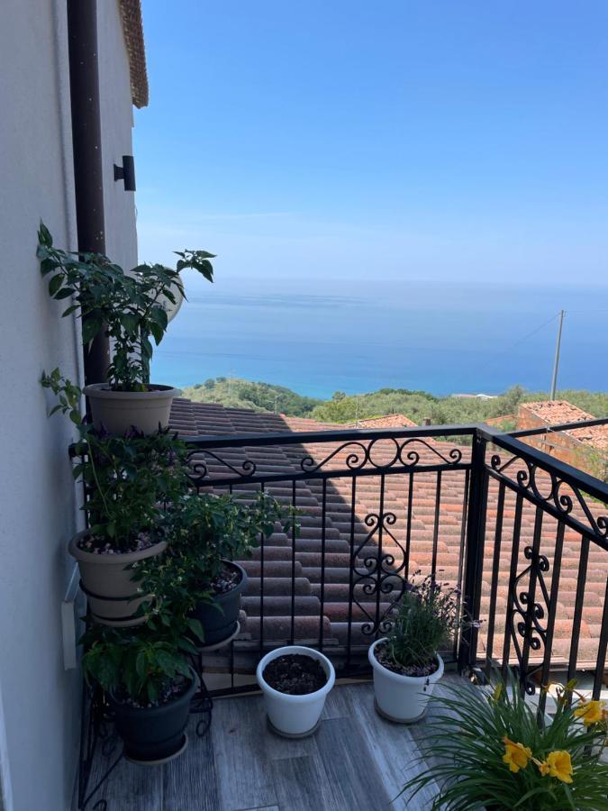 Il Panorama Leilighet Buonvicino Eksteriør bilde